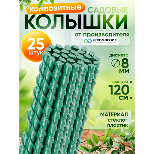 ������ ������ ����������� ������� ������� ��� ����� ��������, 25 ��. ����