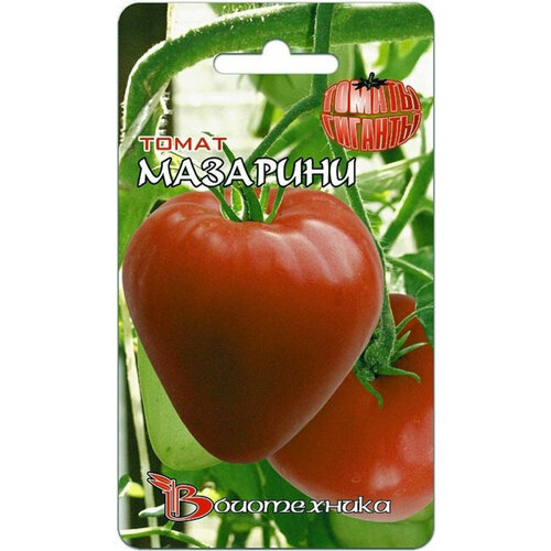 ������ ������ ������ ����� �������� 20�� ��� (��������� ������) ����