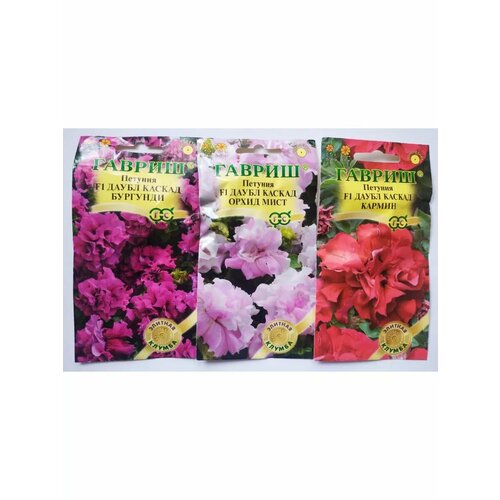 ������ ������ ������� �������� ����� ������: ������, ����� � �������� ����