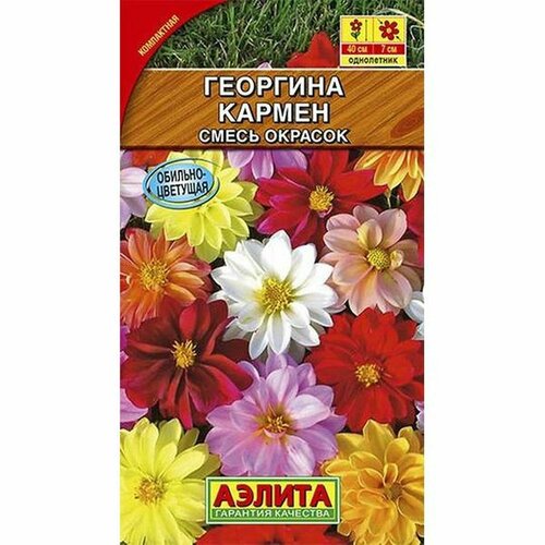 ������ ������ ������ �������� ������, �����, ����������, (������) 10�� ����