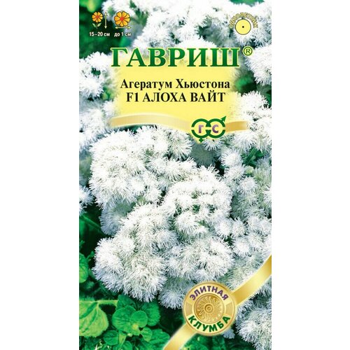 ������ ������ ������ �������� ����� ���� F1, 10��, ������, ������� ������ ����