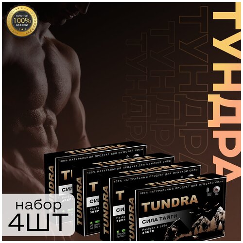 ������ ������ ������ ������� ����������� ������, 20 ������, 4�� ����