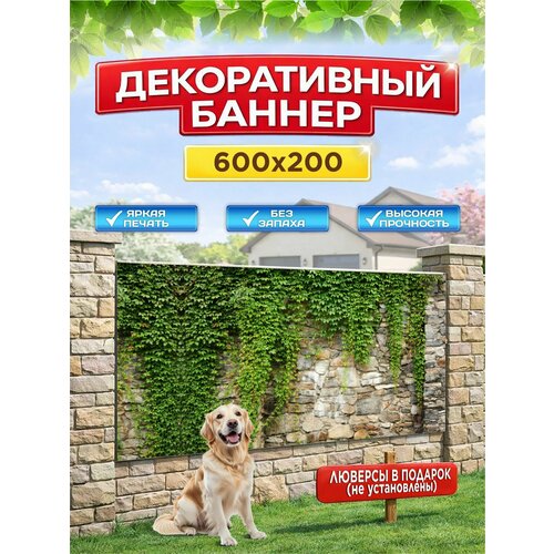 ������ ������ ������������ ������ ��� ������, �������, 600�200 �� � ��������� ����