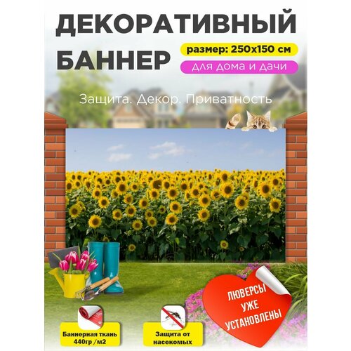 ������ ������ ��������� ������ �� ����� � ��������� 250�150 �� ����