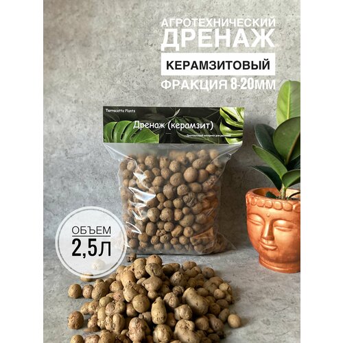 ������ ������ �������� ��� �������� 2,5 ������, ������ ��� ������ Terracotta Plant, ��� ��������� ��������, ������� 10-20�� ����