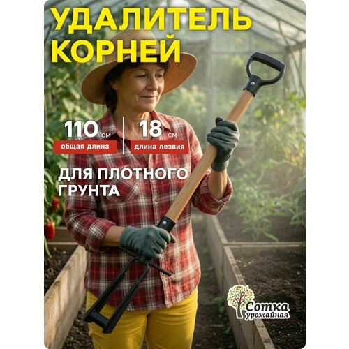 ������ ������ �������������� ��� �������� �������� `��������� �����` ������� � ���������� �������� � V ������ ����