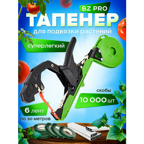 ������ ������ ����� ��� �������� �������� BZ Pro (��������� + ����� 180 ������ + ����� + ��� ��� ��������) ����