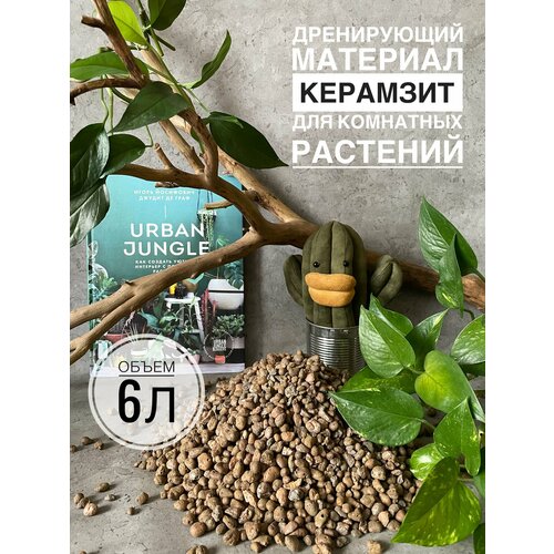 ������ ������ �������� ��� �������� 6 ������, ������ ��� ������ Terracotta Plant, ��� ��������� ��������, ������� 4-10�� ����