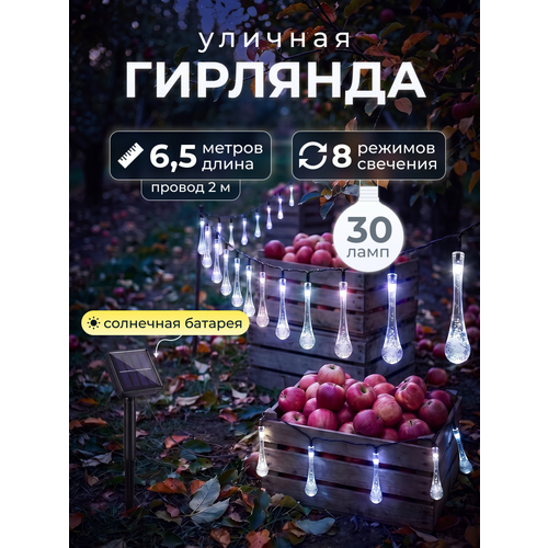 ������ ������ ������������ �������� � ����� ������ (7,3 ��.) �� ��������� ������� 30 ���� 6,5 ������ ����