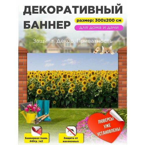 ������ ������ ��������� ������ �� ����� 300 �� � 200 �� � ��������� ����