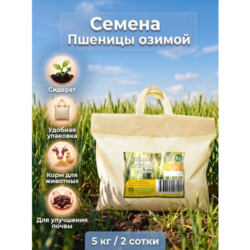 ������ ������ ������ ������� ������ ������������ 3�� ����� ��� ������ � ������������ ����