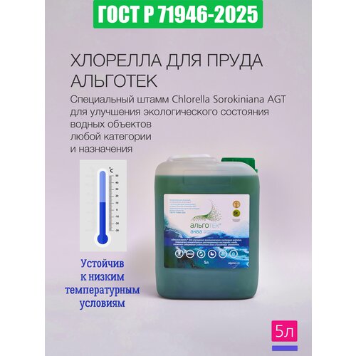 ������ ������ �������� 5 ������. ������������ ������� �� ���� � 71946-2025 ����