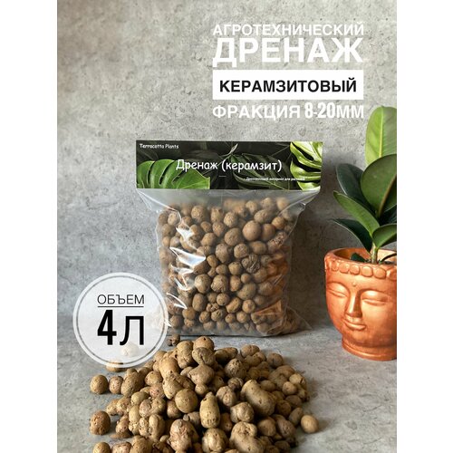 ������ ������ �������� ��� �������� ������ 4 ����� �������, ������� 8-20�� Terracotta Plants, �������� ������� ����