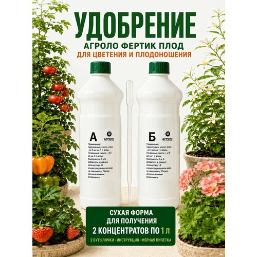 ������ ������ ��������� ������ ������ ���� A+B ��� �������, �������, ������ � ���������, 2�1 � ����