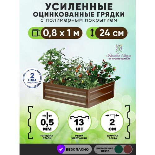 ������ ������ ������ ������������ �� ���� ��������� 1�0,8 ����� / ���������� ������������� ��� ������ ���� ������ � ������� ������� / ������ ��� ���� � ������� ������ ����� 24 �� ����
