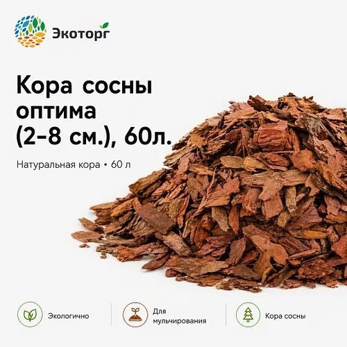 ������ ������ ������ �� ���� ��������� ����� ������� 2-8 �� 60 � ��� ���� � ������� ������� ����