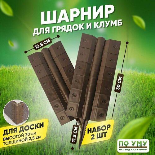 ������ ������ ������ ��� ������ �� ���, ������ 30 ��, ����� 2 �� ����