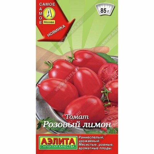 ������ ������ ������ ����� ������� �����, ������������, �����������, (������) 20�� ����� ����� ����