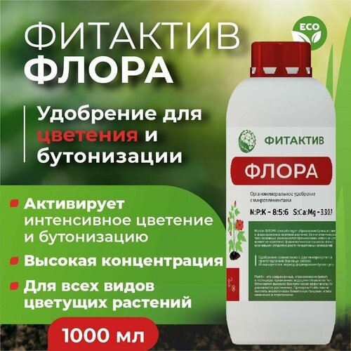 ������ ������ ��������� ��� ����� ������� � ������� �������� ����� (������ 1 �.) ����