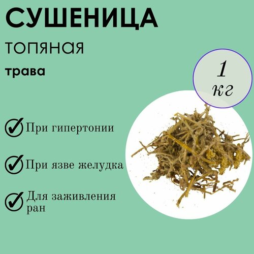 ������ ������ ��������, �����, ������� �������, 1�� ����