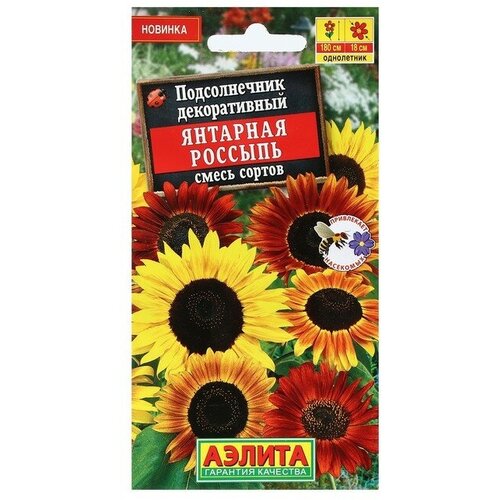 ������ ������ ������ ������ ������������ ������������ 