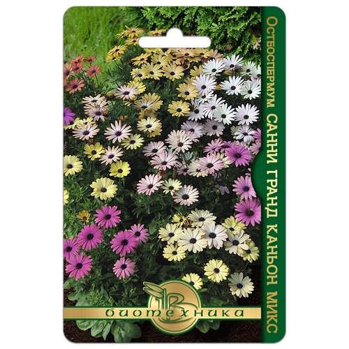 ������ ������ ������ ������������� 