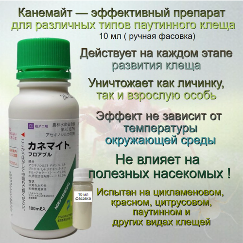 ������ ������ ������ �������� �������� 10 �� (������) ����