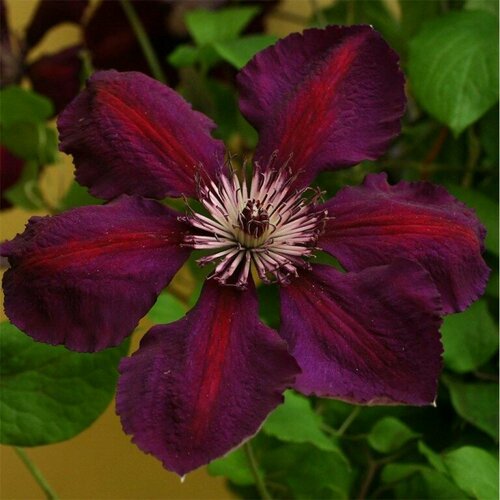 ������ ������ ������ �������� ��������������� ������ ���� 0,05 � (1 ��������) ����