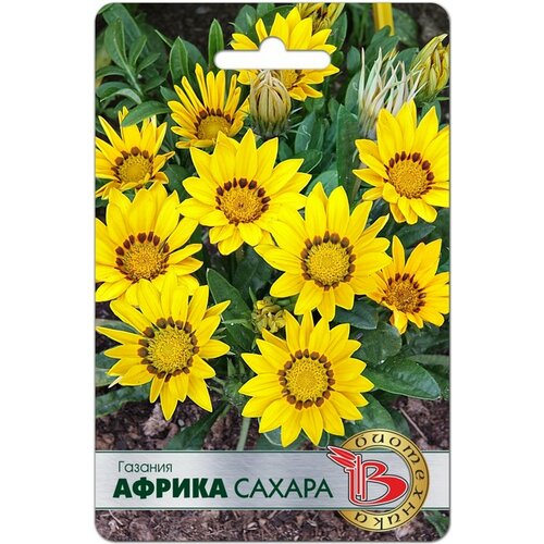 ������ ������ ������ ������� ������ ������ 7 ���� ����� ���������� ����