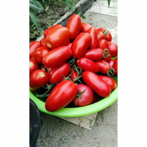 ������ ������ ������ ����� ��������������� �������������� (��) �/� ����