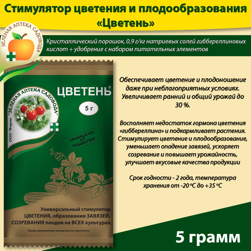 ������ ������ ���������� �������� � ���������������� 5����� ����