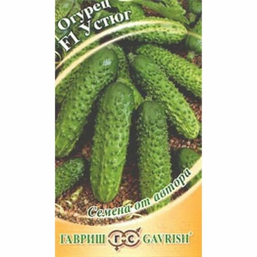 ������ ������ ������ ������ ����� F1 (������������������) (������) 10�� ����