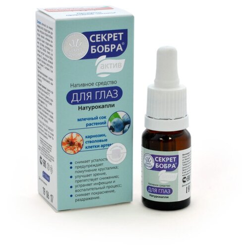 ������ ������ ����� ������ ����� ����� 