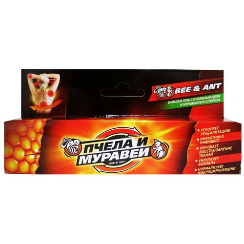 ������ ������ ����-������� �������� ����� � �������, 52 �, 44 �� ����