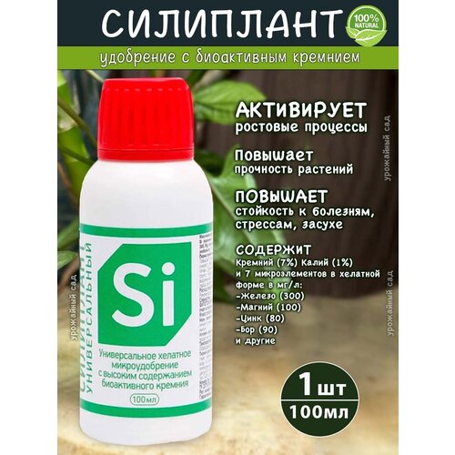 ������ ������ ��������� ��������� ������������� ���� �, 100 �� ����