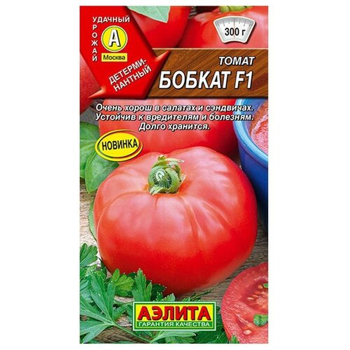 ������ ������ ������ ��������� ������ ����� ������ F1 15 ��. ����