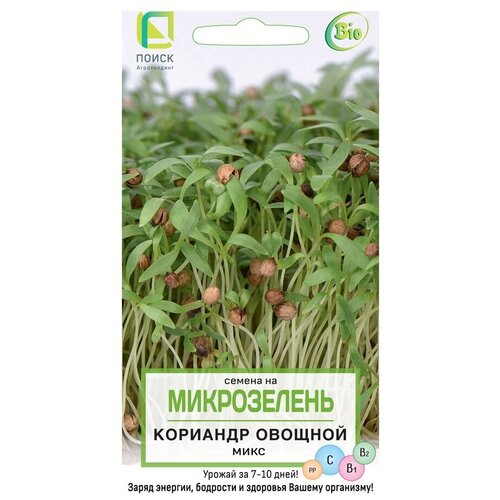 ������ ������ ������ ����� ����������� �������� ������� ����, 5� ����