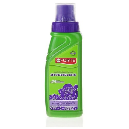 ������ ������ �������� ���� ����� ��� ���������� �������� ��������� ������, ������ 285 �� ����