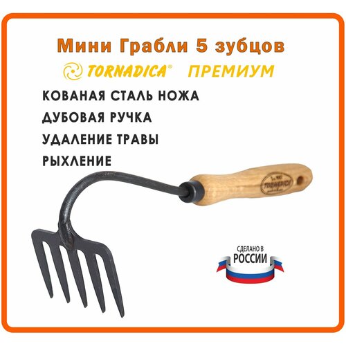 ������ ������ ���� ������ 5 ������ ������� ��������� ������� �������� 14 ��. / ��������� ������� Tornadica ����