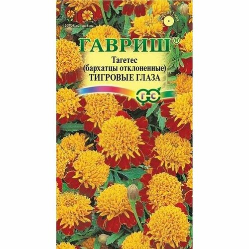 ������ ������ ������ �������� �������� ����� ����������, (������) 0,3� ����