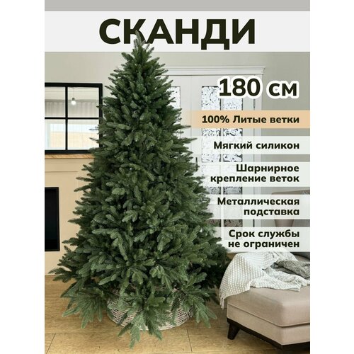 ������ ������ ���� ������������� ���������� ����� ��������� ��� ��������� ����