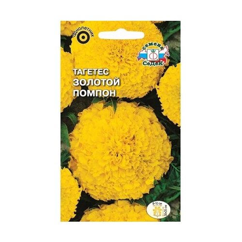 ������ ������ ������ ��������� ����� ������� ������ 0,2 � ����