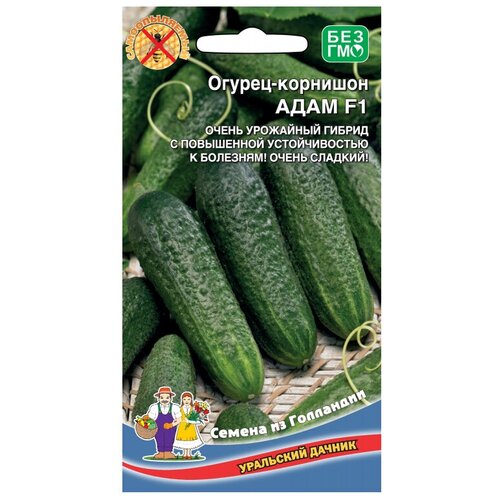 ������ ������ ������ ��������� ������ ������ ���� F1 5 ��. ����