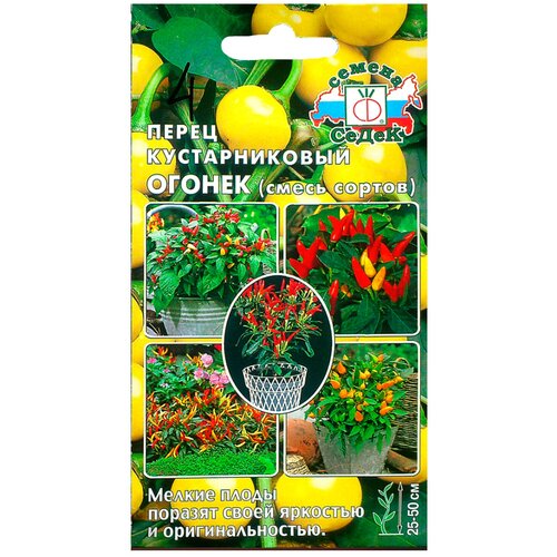 ������ ������ ������ ����� ����� ������������� ������ ����� ����