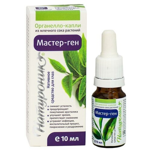 ������ ������ ����� ��������� 