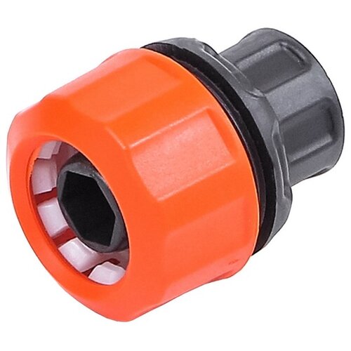 ������ ������ �������� ����� 3/4