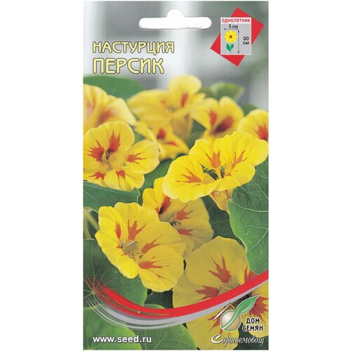 ������ ������ ��������� ������, 9 ����� ����