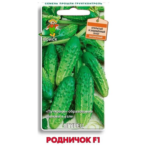 ������ ������ ������ ����� ������ �������� F1 12 ��. ����