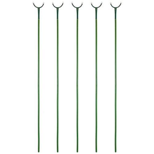 ������ ������ �������� ��� �������� 2.4� 5 ��. / ����� ������� ����