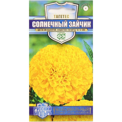 ������ ������ �������� ������������ ������ ��������� ������, 0.3 ��, ������ ����